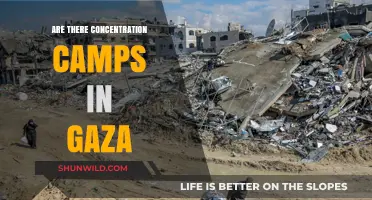 Gaza's Reality: Uncovering the Truth About Alleged Concentration Camps