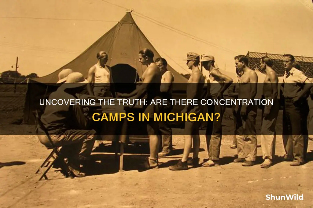 are there concentration camps in michigan