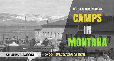 Uncovering the Truth: Concentration Camps in Montana?