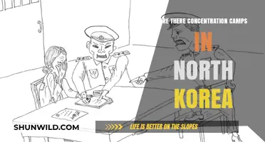 Unveiling North Korea's Hidden Camps: Truth Behind Alleged Detention Sites