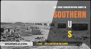 Uncovering the Truth: Concentration Camps in the Southern U.S.?