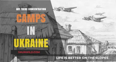 Are There Concentration Camps in Ukraine? Separating Fact from Fiction
