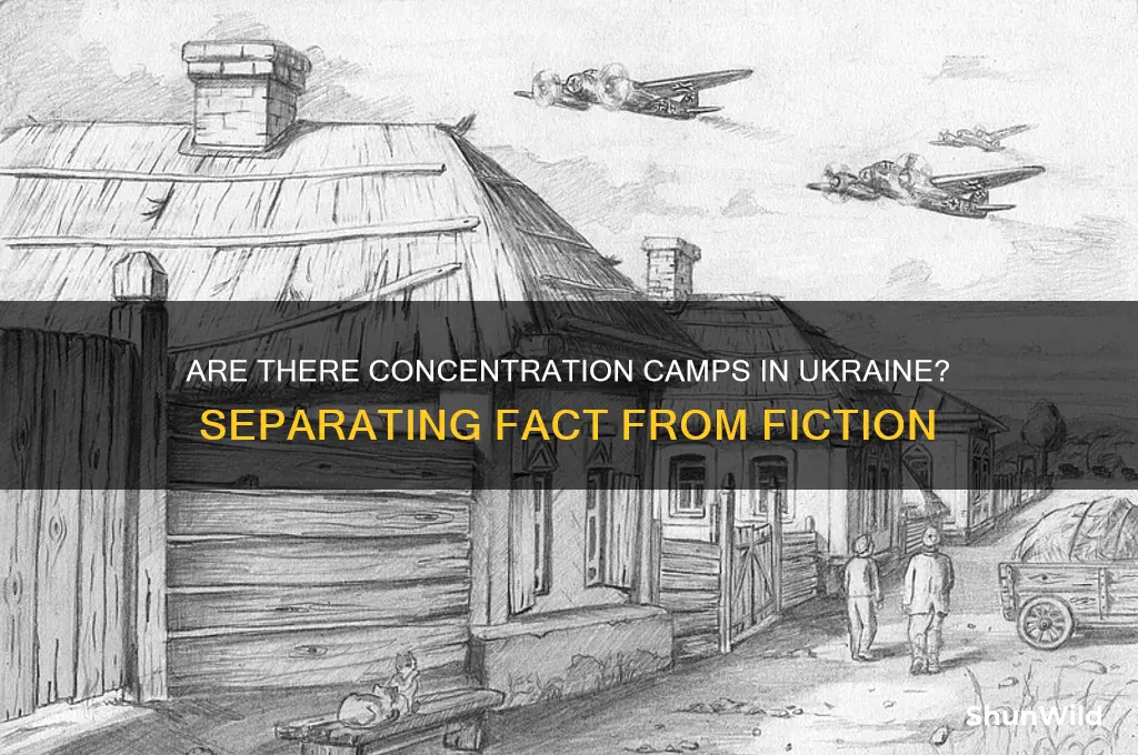are there concentration camps in ukraine