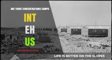 Concentration Camps in the US: Fact or Fiction?