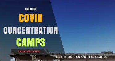 Debunking COVID Concentration Camp Myths: Separating Fact from Fiction