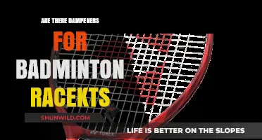 Selecting the Right Dampener for Your Badminton Racket