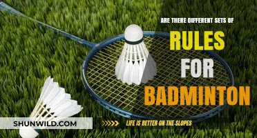 Badminton Rules: Variations and Standardizations