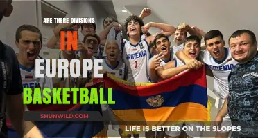 European Basketball Divisions: How Does it Work?