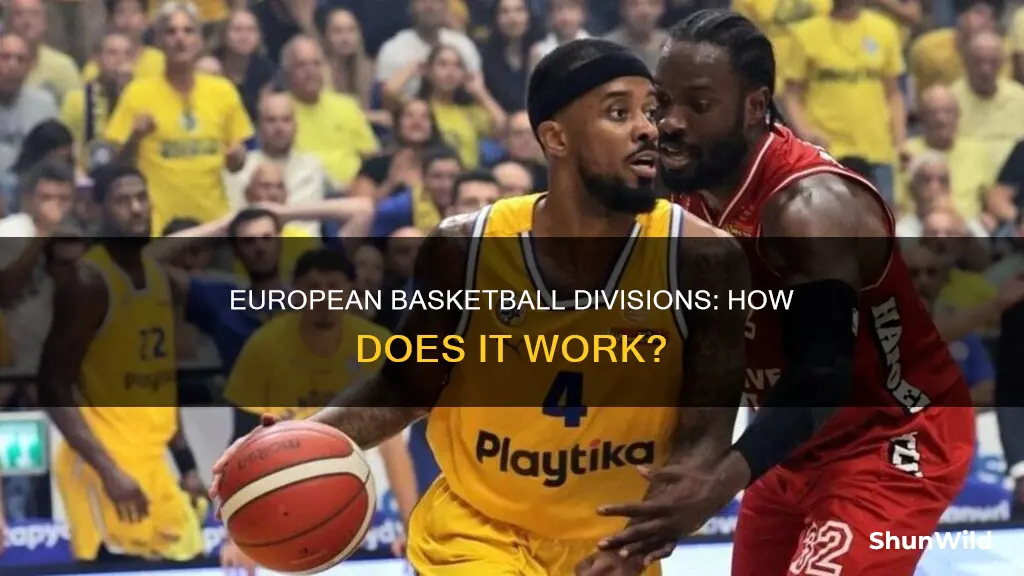 are there divisions in europe basketball