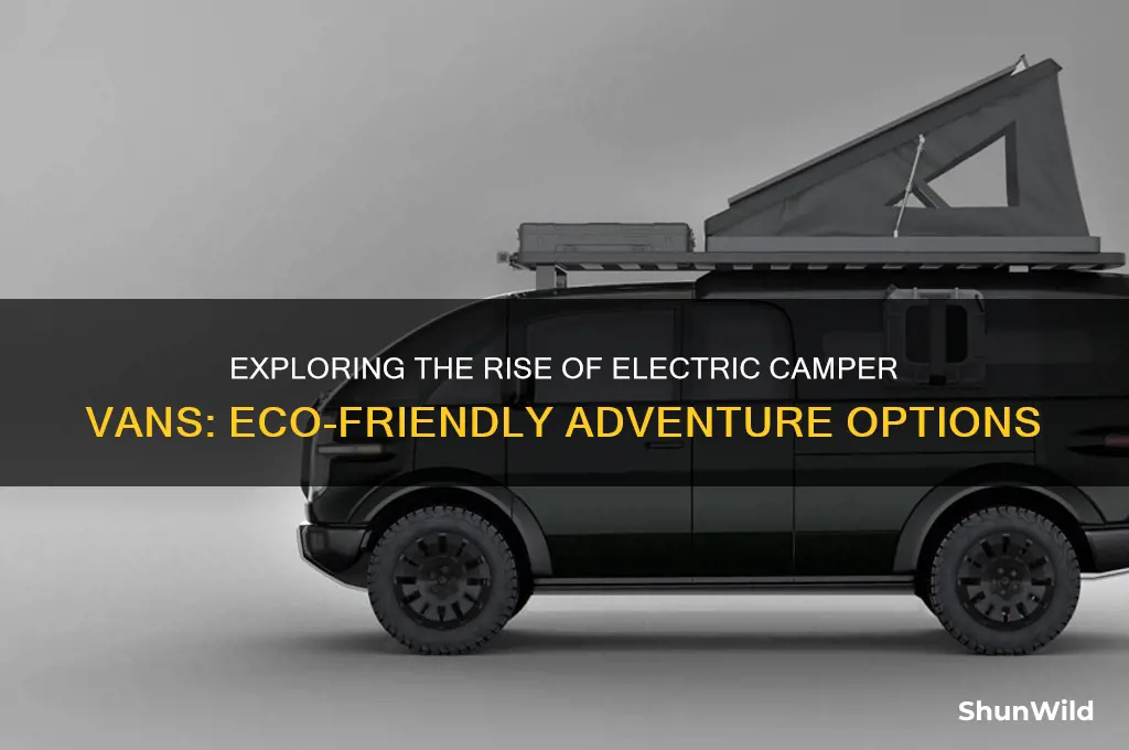 are there electric camper vans