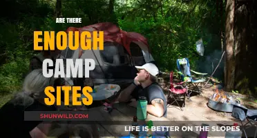 Are There Enough Campsites? Exploring Availability and Demand for Outdoor Enthusiasts
