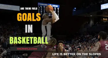 Field Goals in Basketball: What's the Deal?