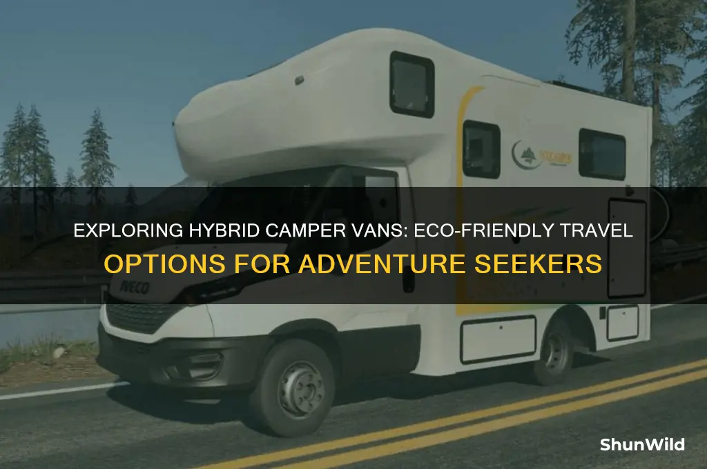 are there hybrid camper vans