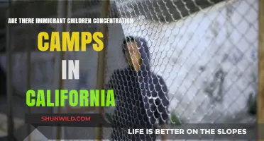 California's Immigrant Children Detention Centers: Concentration Camps or Facilities?