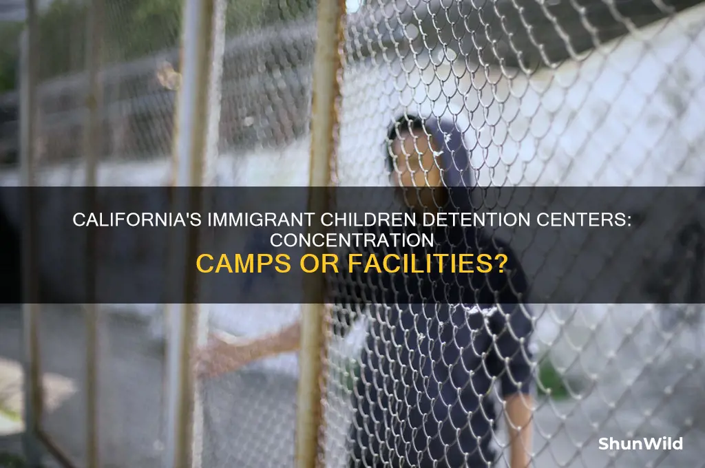 are there immigrant children concentration camps in california
