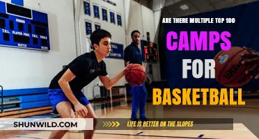 Basketball Camps: Many Top 100 Options, Which to Choose?