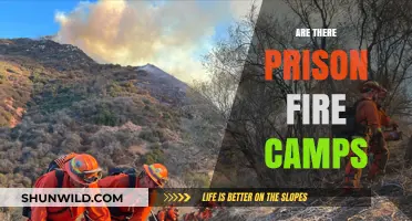 Exploring the Reality of Prison Fire Camps: Facts and Insights