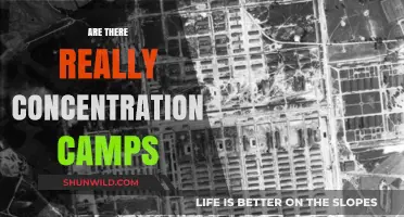 Concentration Camps: Uncovering the Truth Behind the Controversial Claims