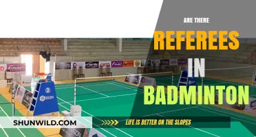 Referees in Badminton: Who's Watching?