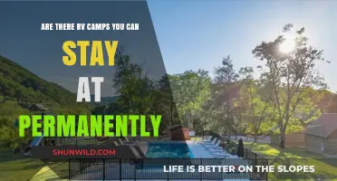 Can You Live Full-Time in RV Parks? Permanent Camping Options Explained