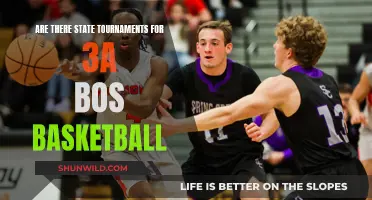 Bos Basketball: State Tournaments for 3A Teams?