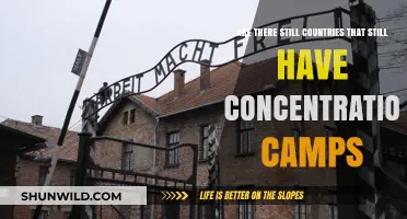 Concentration Camps in the Modern World: A Disturbing Reality