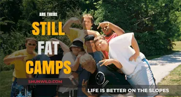 Do Fat Camps Still Exist? Exploring Weight Loss Programs Today
