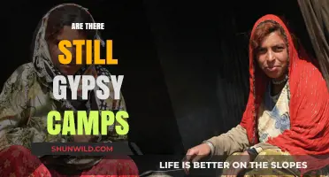 Exploring Modern Gypsy Camps: Do They Still Exist Today?