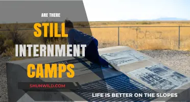 Internment Camps Today: Do They Still Exist in Modern Times?