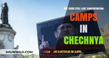 Chechnya's LGBT Persecution: Are Concentration Camps Still Active?