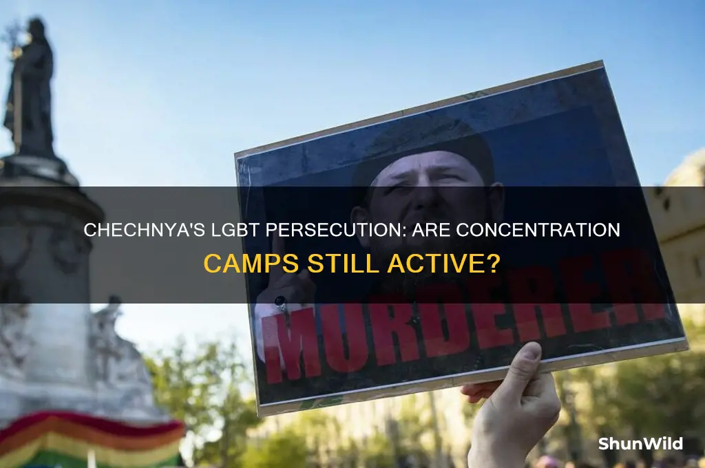 are there still lgbt concentration camps in chechnya