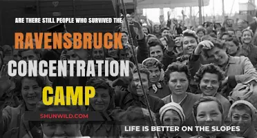 Surviving Ravensbrück: Stories of Resilience from the Concentration Camp