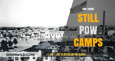Do POW Camps Still Exist? Exploring Their Current Status
