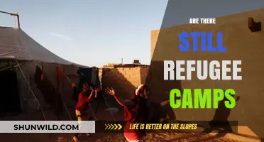 Do Refugee Camps Still Exist? Exploring the Current Global Situation
