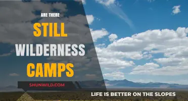 Do Wilderness Camps Still Exist? Exploring Their Current Role and Impact