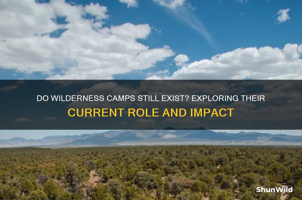 are there still wilderness camps