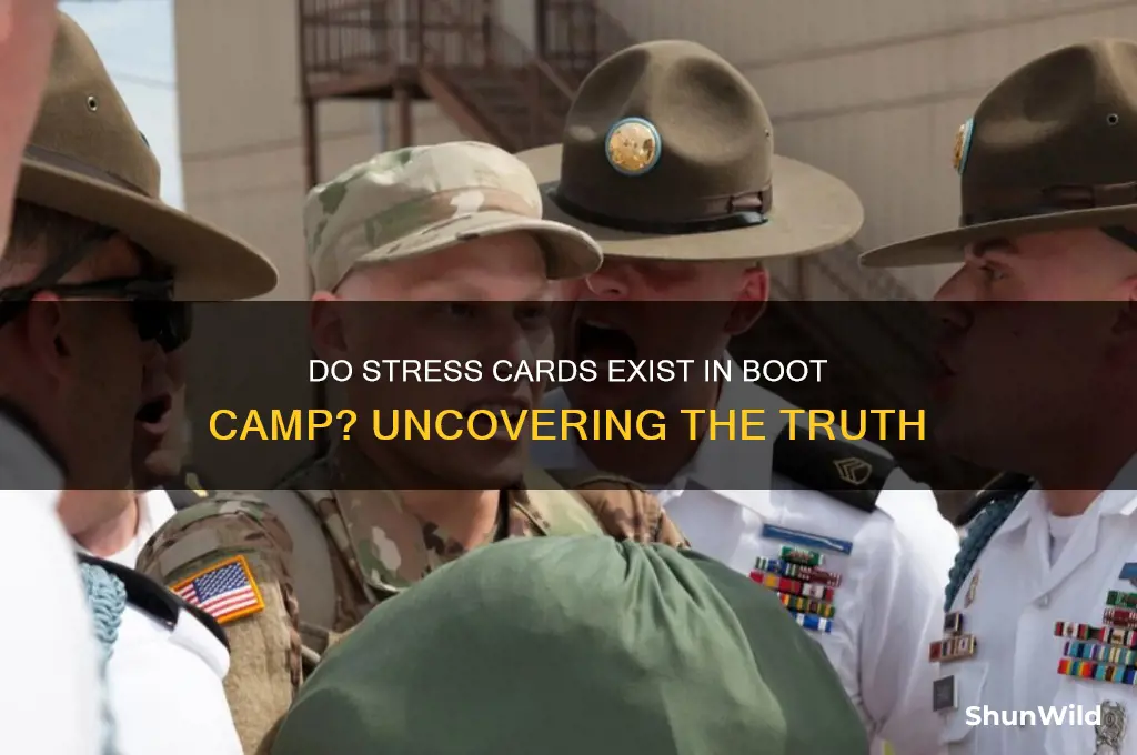 are there stress cards in boot camp