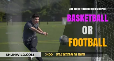 Trans Visibility in Pro Basketball and Football