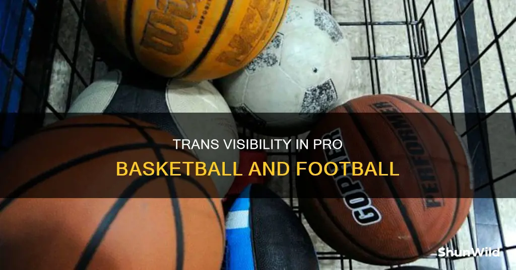 are there transgenders in pro basketball or football
