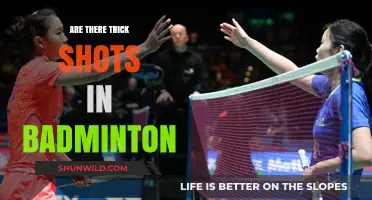 Unusual Badminton Tricks: Creative or Cheating?
