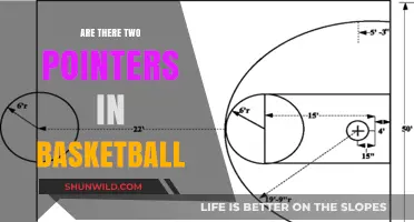 Pointers in Basketball: Double Trouble?