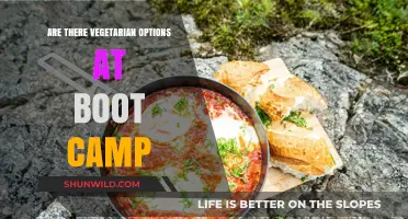 Vegetarian Meals at Boot Camp: What to Expect and How to Prepare