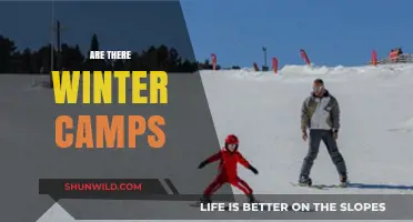 Discover Exciting Winter Camps for Kids and Teens Near You