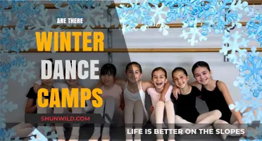 Discover Winter Dance Camps: Perfect Seasonal Retreats for Dancers