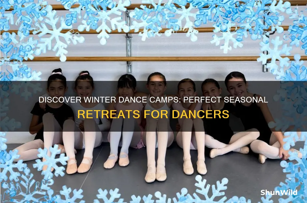 are there winter dance camps