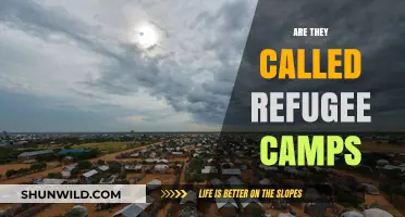 Understanding Refugee Camps: Names, Realities, and Global Perspectives