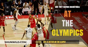 Basketball at the Olympics: Who's Playing?