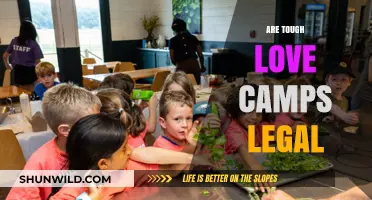 Are Tough Love Camps Legal? Exploring the Boundaries of Youth Programs