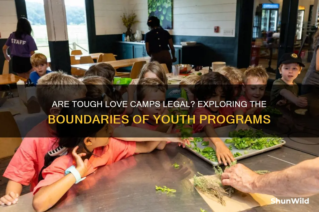 are tough love camps legal