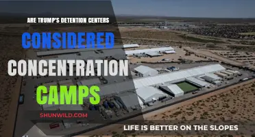 Trump's Detention Centers: Concentration Camps or Immigration Facilities?